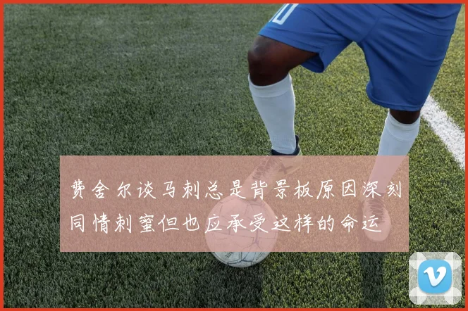 费舍尔谈马刺总是背景板原因深刻同情刺蜜但也应承受这样的命运