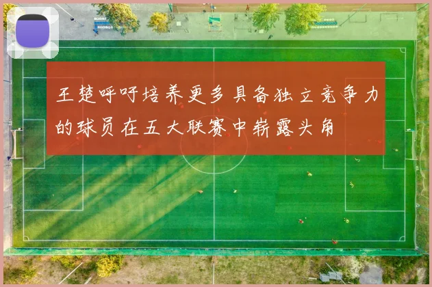 王楚呼吁培养更多具备独立竞争力的球员在五大联赛中崭露头角