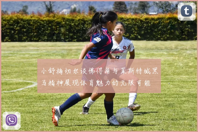 小舒梅切尔谈佛得角与莱斯特城黑马精神展现体育魅力的无限可能