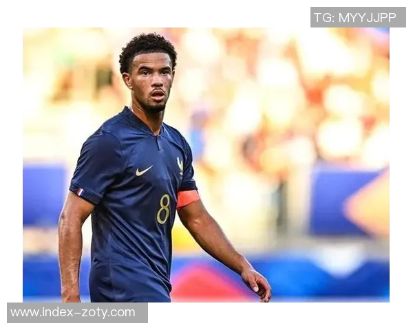 法甲球员身价下滑分析扎伊尔埃梅里与帕瓦尔领衔跌幅榜 法甲球员身价下滑分析扎伊尔埃梅里与帕瓦尔领衔跌幅榜