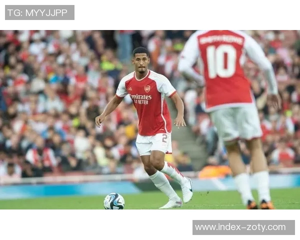 萨利巴期待世界杯复仇阿根廷感受阿森纳如同回家般温暖