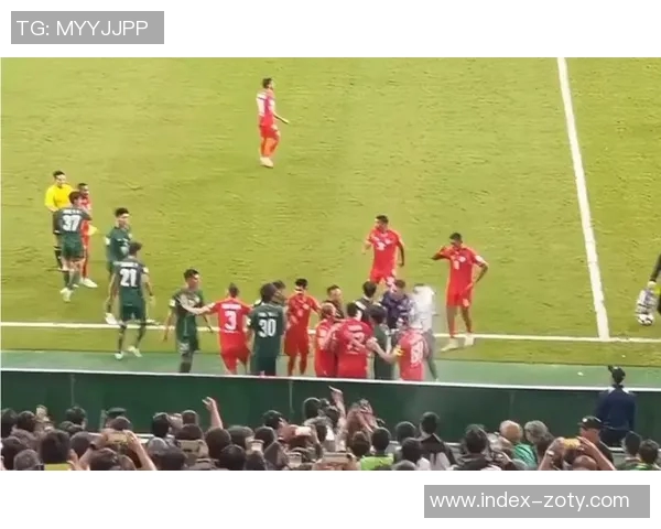 比甲比赛因球迷投掷水杯击中主裁在第87分钟意外中止引发热议 比甲比赛因球迷投掷水杯击中主裁在第87分钟意外中止引发热议