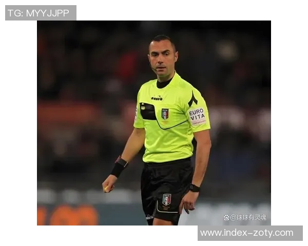 裁判负责人解析国米点球争议认为助理裁判应承担主要责任 裁判负责人解析国米点球争议认为助理裁判应承担主要责任