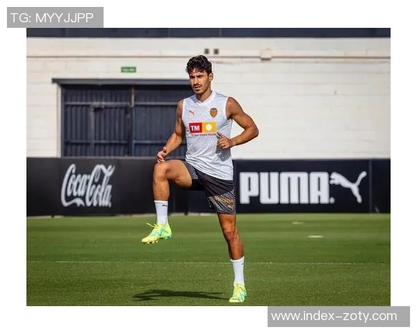 安德烈阿尔梅达频繁更换经纪公司一年内转战三家引发关注 安德烈阿尔梅达频繁更换经纪公司一年内转战三家引发关注